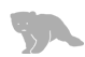 Bear File Converter – Online & Free